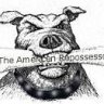TheAmericanRepossess