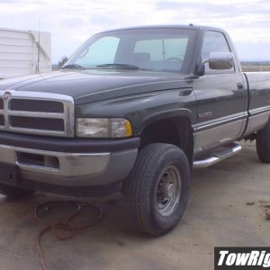 Bone stock